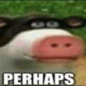 Meet your Posher, Beck